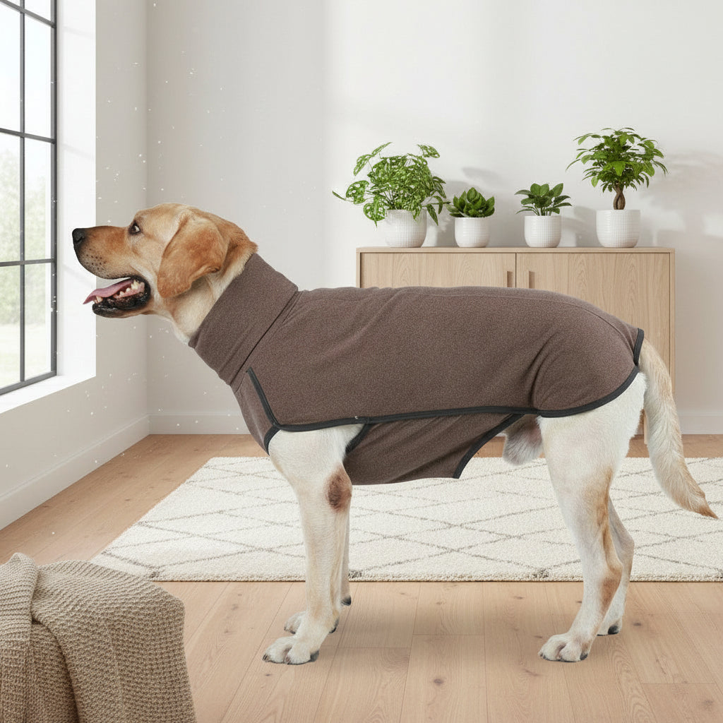 Soft Knit Dog Sweater