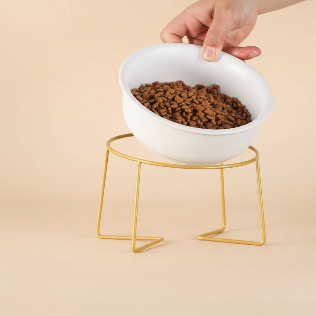 Elevated Cat Bowl – Tilted Ceramic Raised Feeder for Comfortable Eating