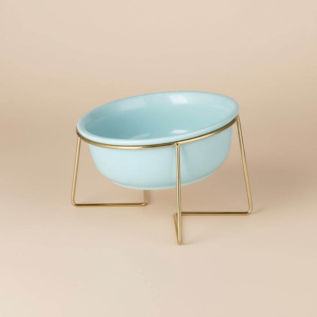 Elevated Cat Bowl – Tilted Ceramic Raised Feeder for Comfortable Eating